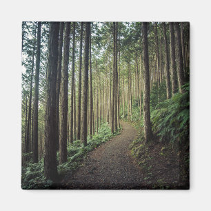 Forests   Mountains of Wakayama Japan Magnet