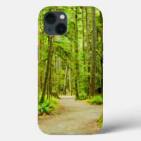 Forests | Olympic National Park