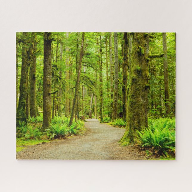 Forests | Olympic National Park Jigsaw Puzzle (Horizontal)