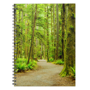Forests Olympic National Park Notebook