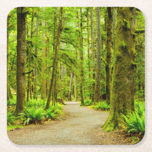 Forests Olympic National Park Square Paper Coaster