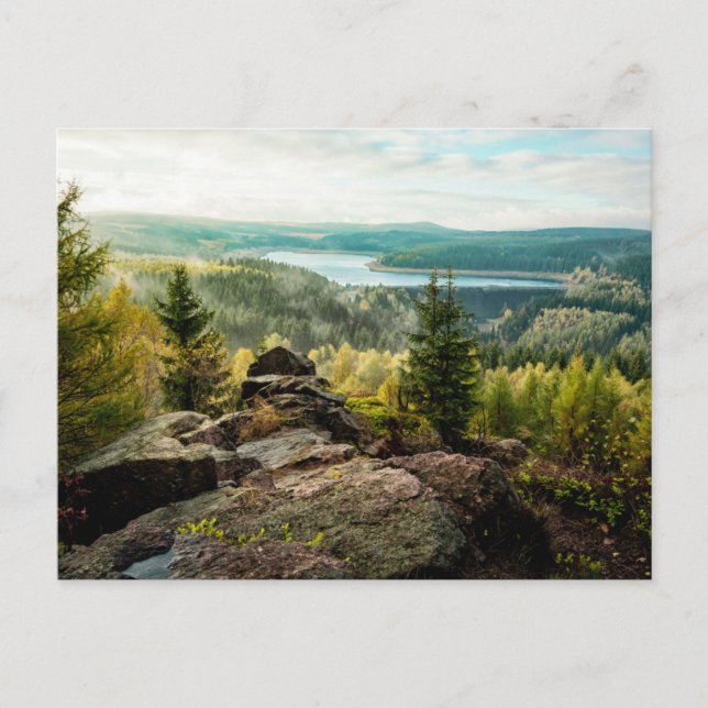 Forests | Ore Mountains Germany Postcard (Front)