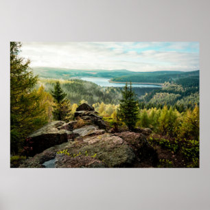 Forests Ore Mountains Germany Poster