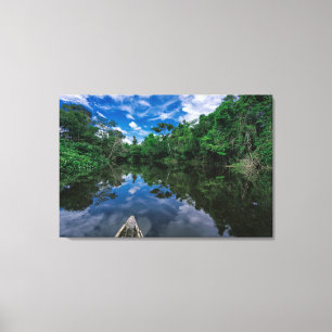 Forests Peruvian Jungle Forest Canvas Print