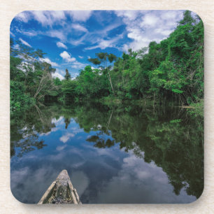 Forests Peruvian Jungle Forest Coaster