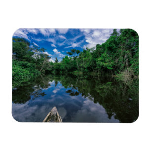 Forests   Peruvian Jungle Forest Magnet
