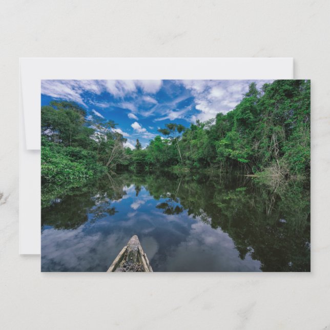 Forests | Peruvian Jungle Forest Thank You Card (Front)