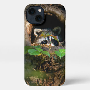 Forests   Raccoon Peeking iPhone 13 Case