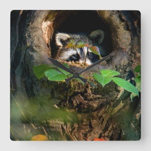 Forests   Raccoon Peeking Square Wall Clock