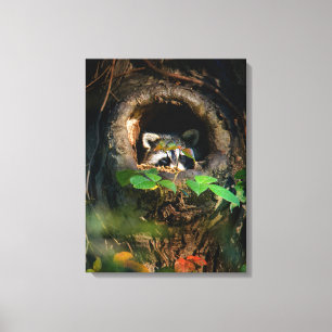 Forests Racoon Peeking Canvas Print