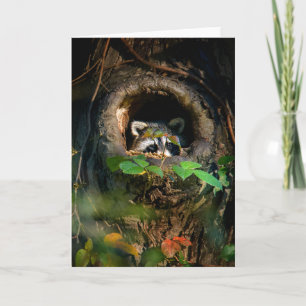 Forests Racoon Peeking Card