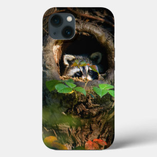 Forests   Racoon Peeking iPhone 13 Case