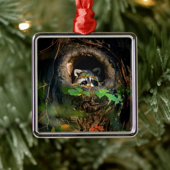 Forests | Racoon Peeking Metal Tree Decoration (Tree)