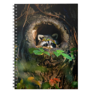 Forests   Racoon Peeking Notebook