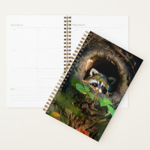 Forests   Racoon Peeking Planner