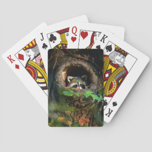 Forests Racoon Peeking Playing Cards