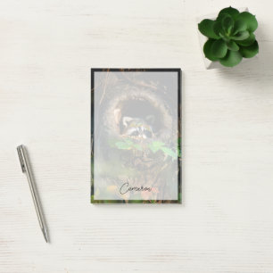 Forests Racoon Peeking Post-it Notes