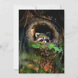 Forests Racoon Peeking Thank You Card