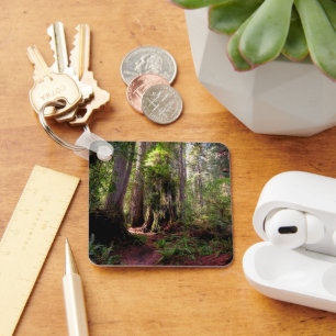 Forests   Redwood Forest California Key Ring