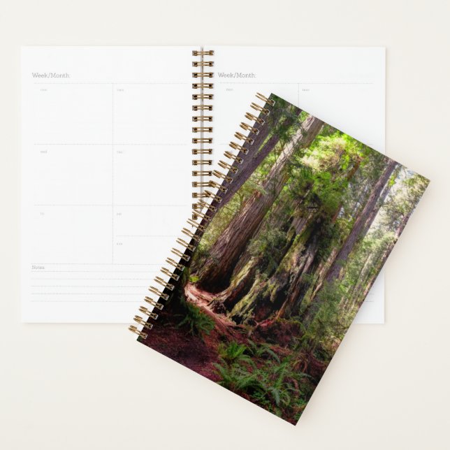 Forests | Redwood Forest California Planner (Display)