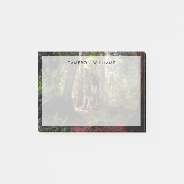 Forests | Redwood Forest California Post-it Notes (Front)