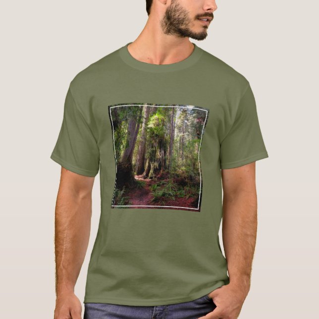 Forests | Redwood Forest California T-Shirt (Front)