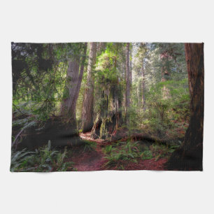 Forests Redwood Forest California Tea Towel