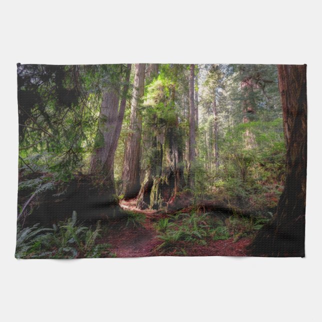 Forests | Redwood Forest California Tea Towel (Horizontal)