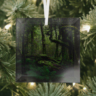 Forests   Routeburn Track Fiordland National Park Glass Tree Decoration