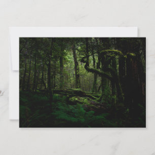 Forests Routeburn Track Fiordland National Park Thank You Card