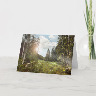 Forests Sun Peeking Thru Card