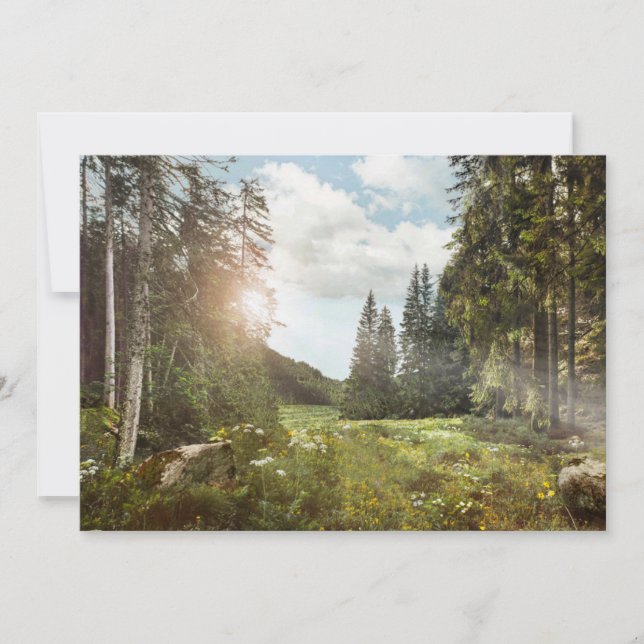 Forests | Sun Peeking Thru Thank You Card (Front)