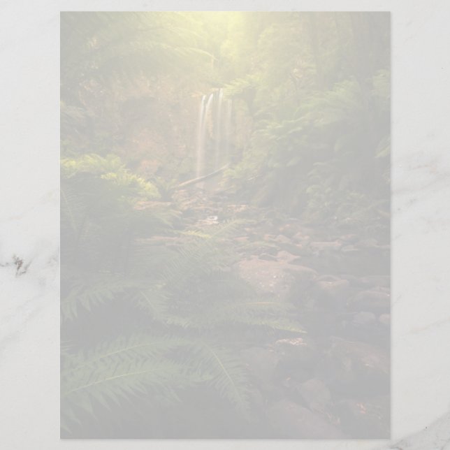 Forests | Sunlight Highlights Waterfall (Front)