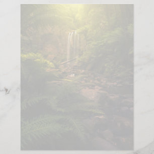 Forests Sunlight Highlights Waterfall