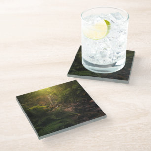 Forests   Sunlight Highlights Waterfall Glass Coaster