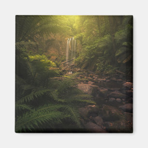 Forests   Sunlight Highlights Waterfall Magnet