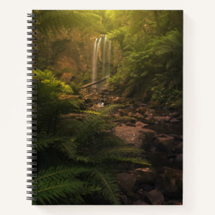 Forests   Sunlight Highlights Waterfall Notebook