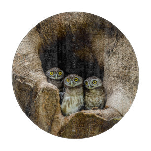 Forests   Three Owls Looking Cutting Board