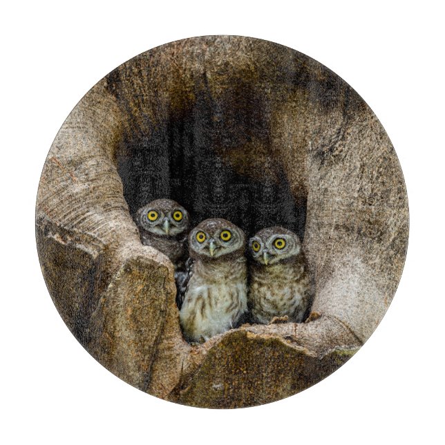 Forests | Three Owls Looking Cutting Board (Front)