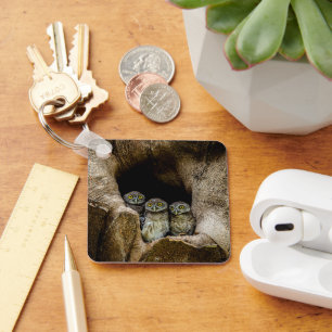 Forests   Three Owls Looking Key Ring