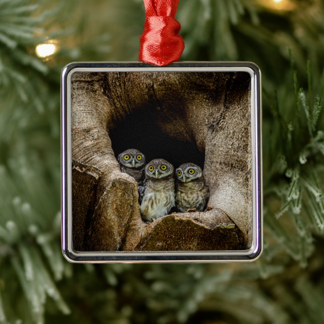 Forests | Three Owls Looking Metal Tree Decoration (Tree)