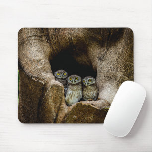 Forests Three Owls Looking Mouse Pad