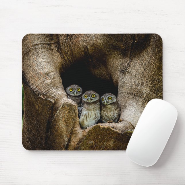 Forests | Three Owls Looking Mouse Pad (With Mouse)