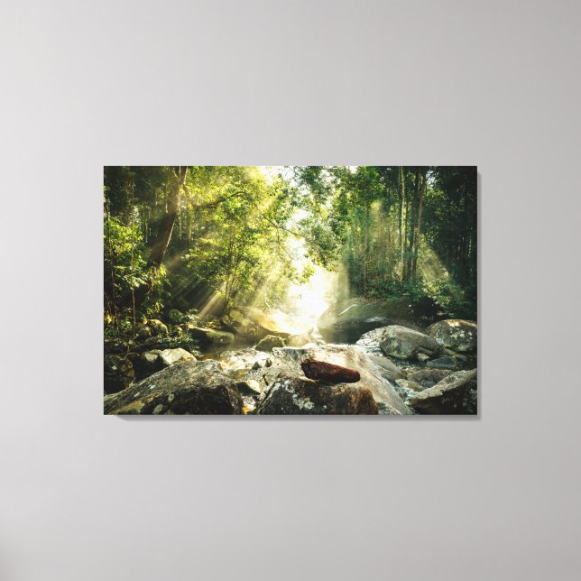 Forests | Tropical Jungle Forest Canvas Print (Front)