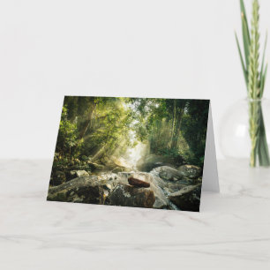 Forests Tropical Jungle Forest Card