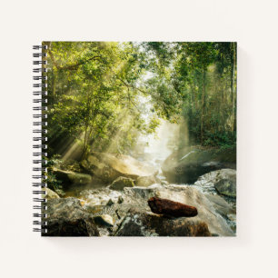 Forests   Tropical Jungle Forest Notebook