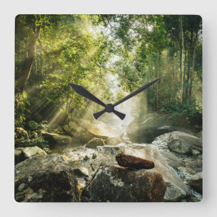 Forests   Tropical Jungle Forest Square Wall Clock