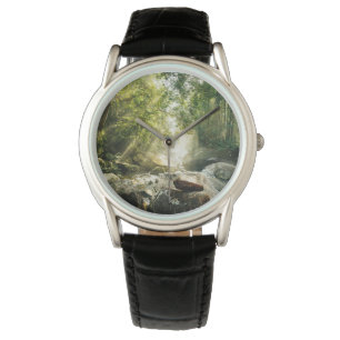 Forests Tropical Jungle Forest Watch