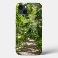 Forests | Tropical Rainforest Tulum Mexico