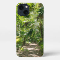 Forests | Tropical Rainforest Tulum Mexico